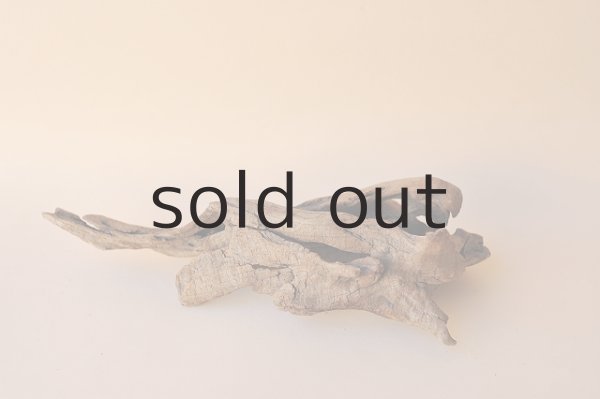 画像2: 変形流木 (2)