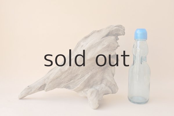 画像4: 変形流木 (4)