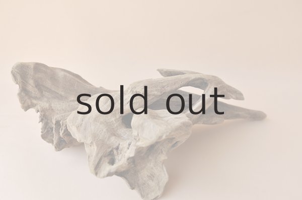 画像2: 変形流木 (2)