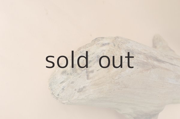 画像3: 幹流木 (3)