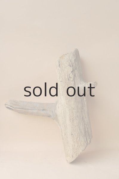 画像2: 幹流木 (2)