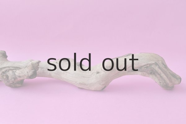 画像4: 幹流木 (4)