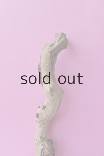 画像3: 幹流木 (3)