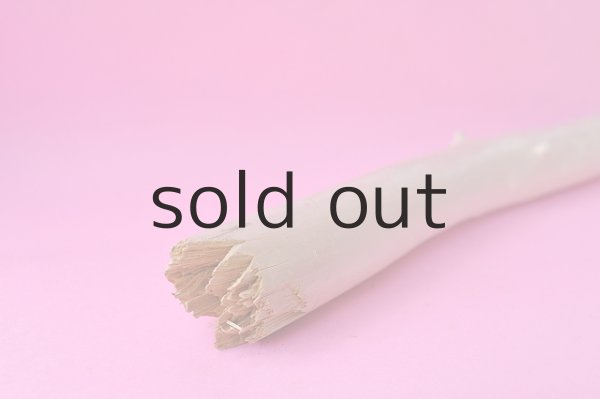 画像2: 幹流木 (2)