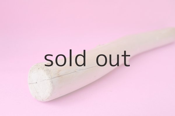 画像3: 幹流木 (3)