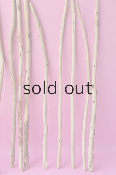 画像3: 棒流木セット (3)