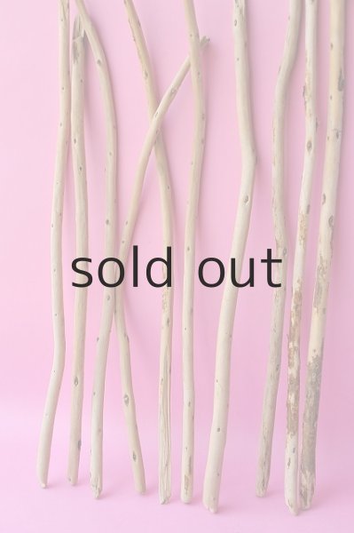 画像2: 棒流木セット (2)