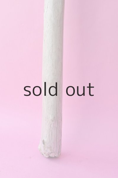 画像2: 幹流木 (2)