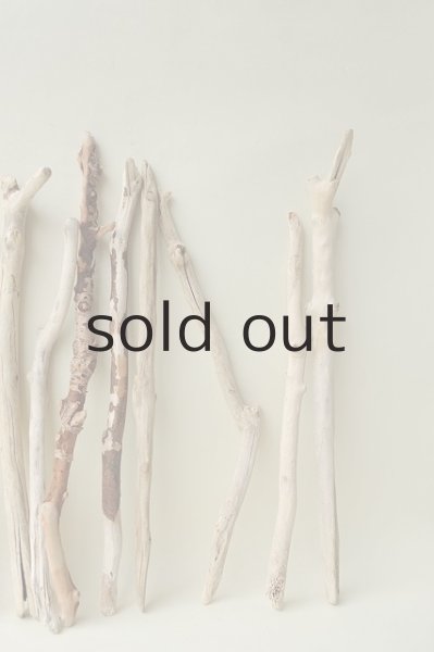 画像4: 小枝流木セット (4)