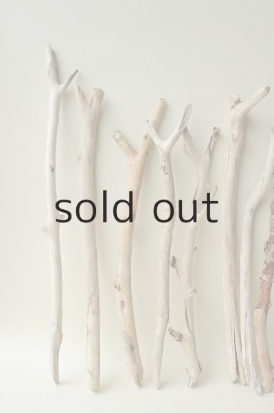 画像2: 小枝流木セット (2)