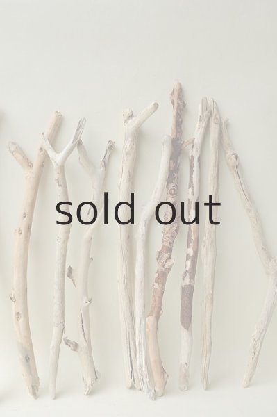 画像3: 小枝流木セット (3)