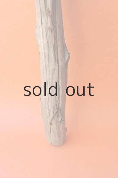 画像2: 幹流木 (2)