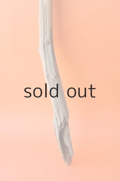 画像2: 幹流木 (2)