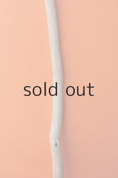 画像3: 幹流木 (3)