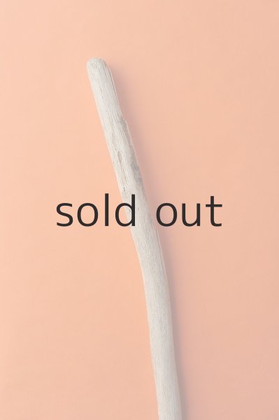 画像4: 幹流木 (4)