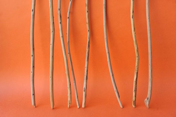 画像2: 棒流木セット (2)