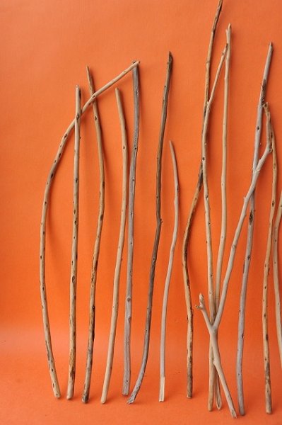 画像2: 棒流木セット (2)