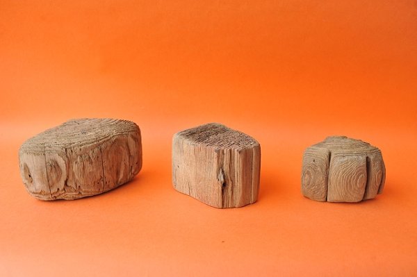 画像3: 板流木セット (3)