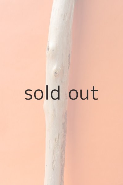 画像3: 幹流木 (3)