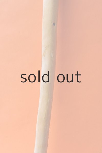 画像3: 幹流木 (3)