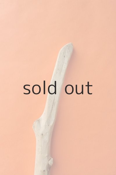 画像4: 幹流木 (4)