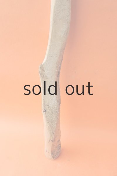 画像2: 幹流木 (2)