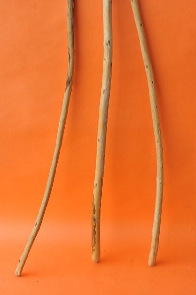 画像2: 棒流木 (2)