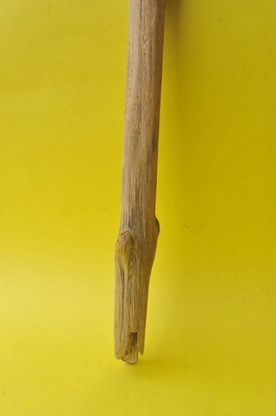 画像2: 枝流木 (2)