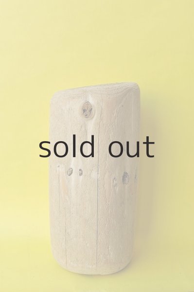 画像2: 幹流木（丸太） (2)