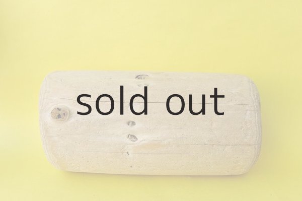 画像4: 幹流木（丸太） (4)