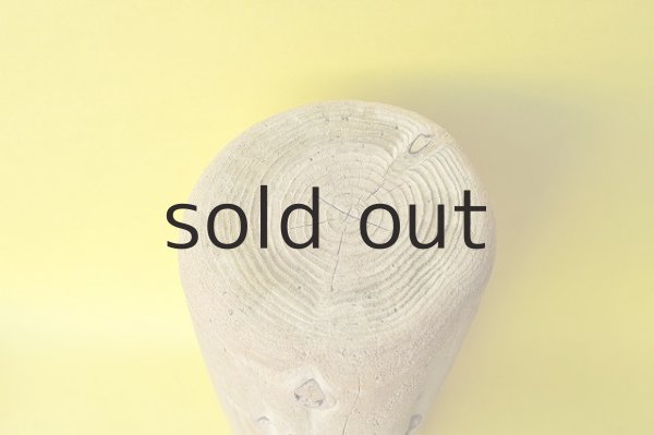 画像3: 幹流木（丸太） (3)