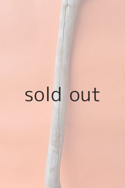 画像3: 幹流木 (3)