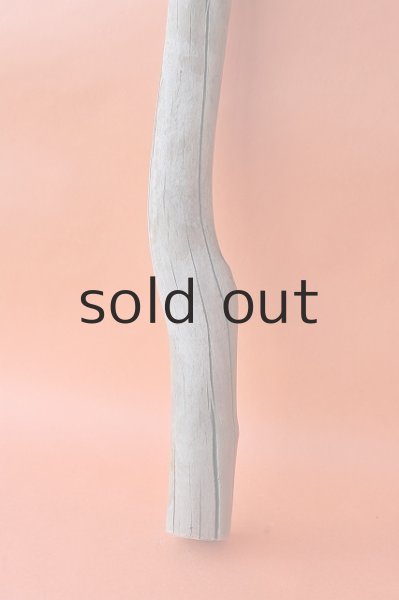 画像2: 幹流木 (2)