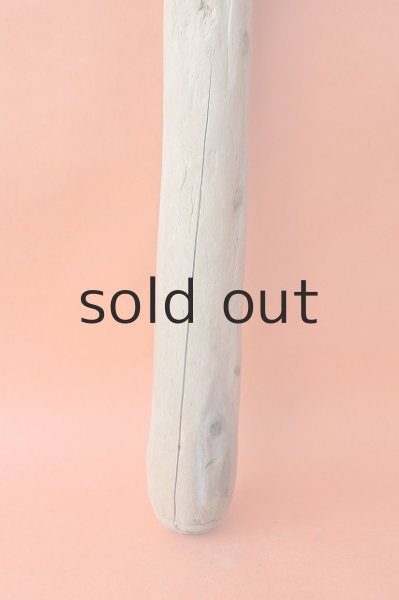 画像2: 幹流木 (2)