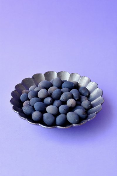 画像6: Dry plants for decor デコール用シードボトル(80g入) (6)