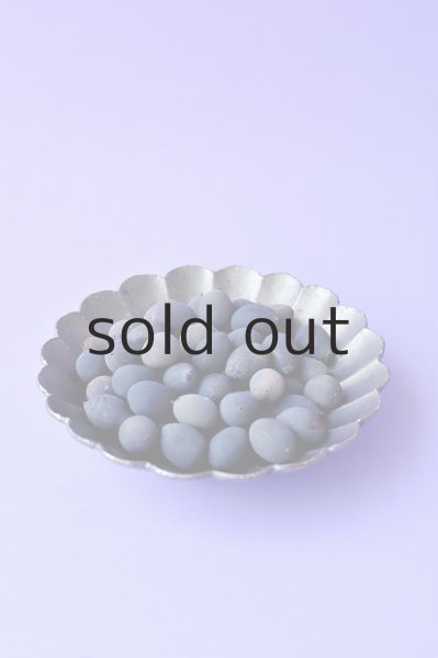 画像4: Dry plants for decor デコール用シードボトル(150g入) (4)