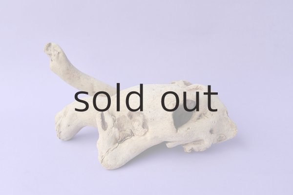 画像2: 流木根 (2)