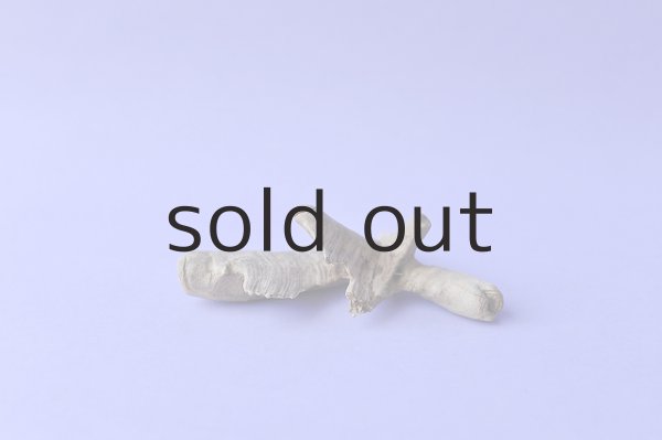 画像2: 変形流木 (2)