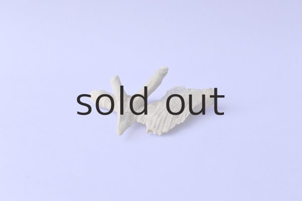 画像3: 変形流木 (3)