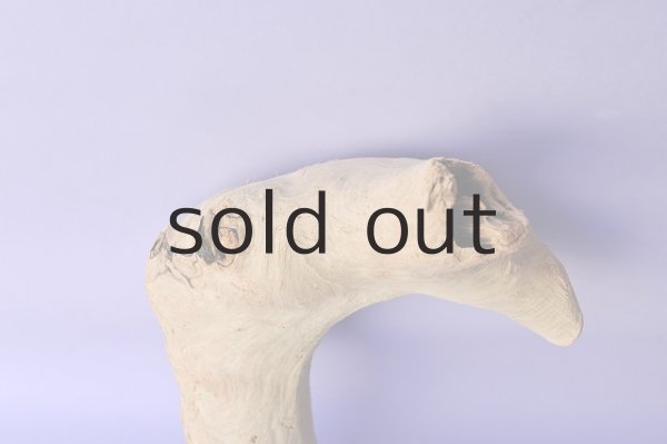 画像2: 変形流木・中型 (2)