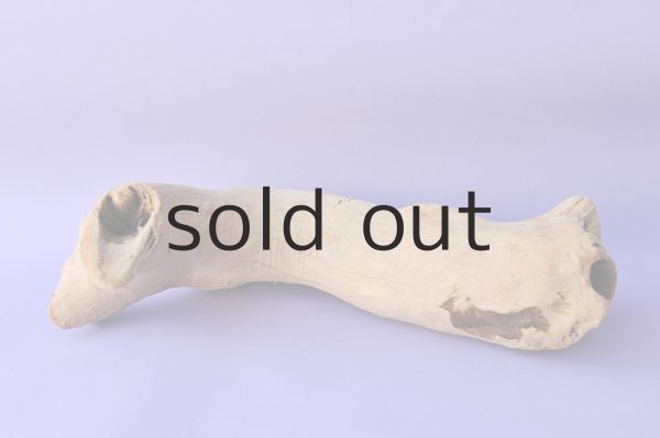 画像3: 変形流木・中型 (3)