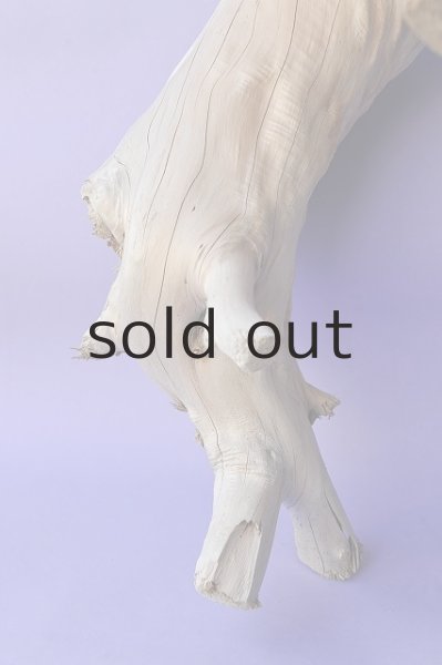 画像2: 大型 根 (2)