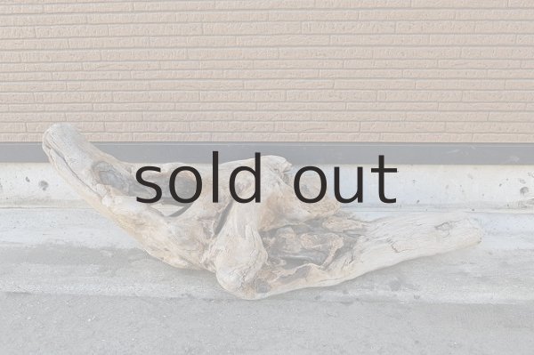 画像3: 大型 変形 (3)