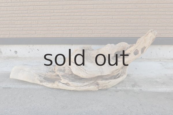 画像4: 大型 変形 (4)