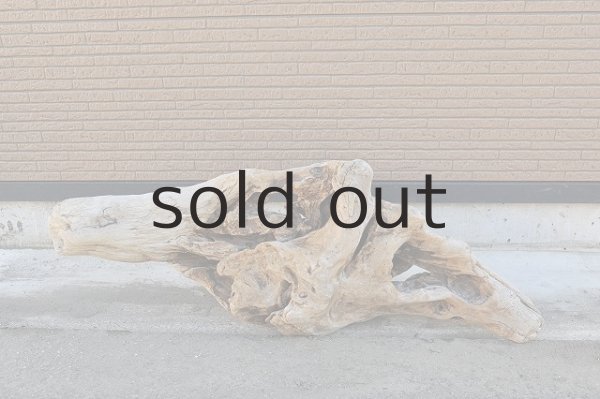 画像2: 大型 変形 (2)