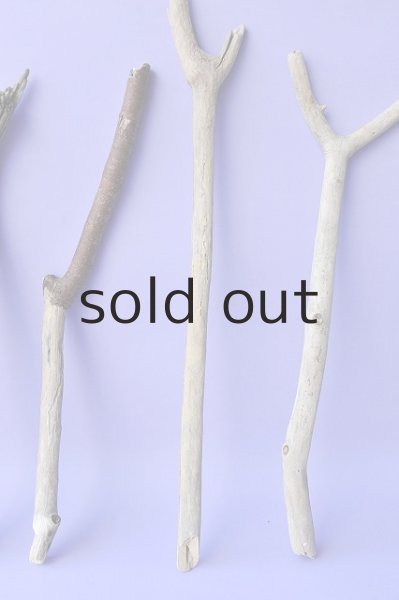 画像3: 小枝流木セット (3)