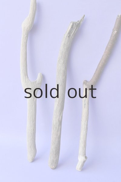 画像2: 小枝流木セット (2)