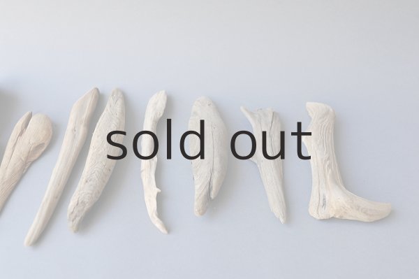 画像3: 変形流木 (3)