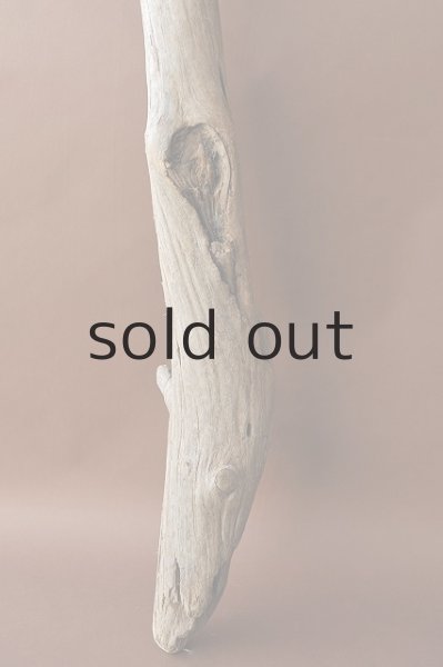 画像4: 大型 幹 (4)