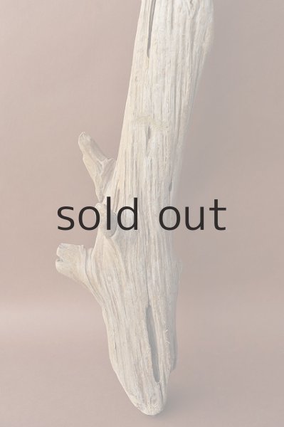 画像2: 大型 幹 (2)